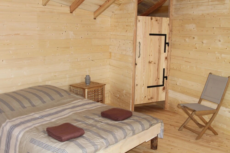 Voler Avec les Oiseaux