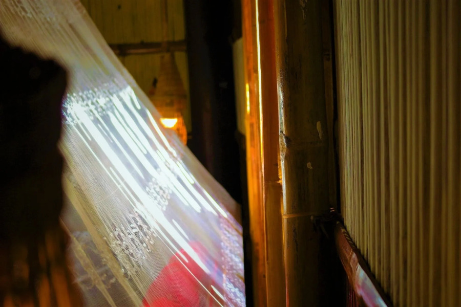 Under the coconut tree - Hostel