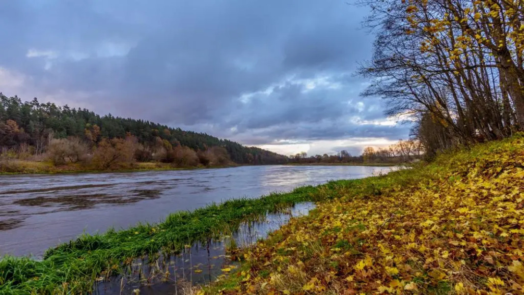 Senosios Geguzines Ukis