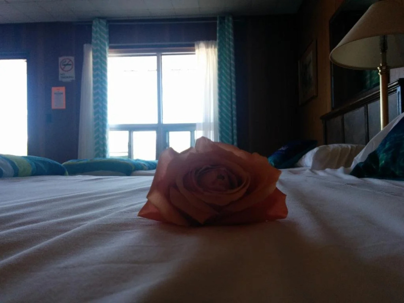 All Tucked Inn