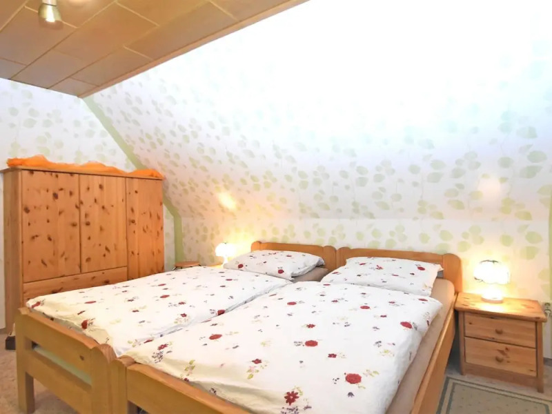 Apartment in the Harz With a log Cabin, Pond and Covered Seating Area