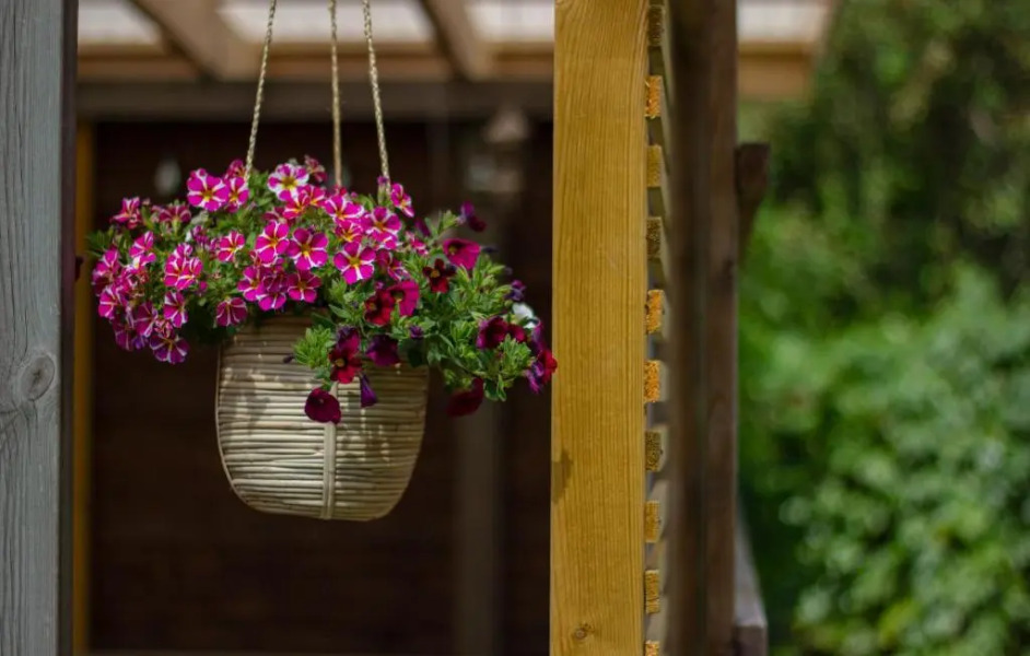 Rosenhill Bed & Breakfast