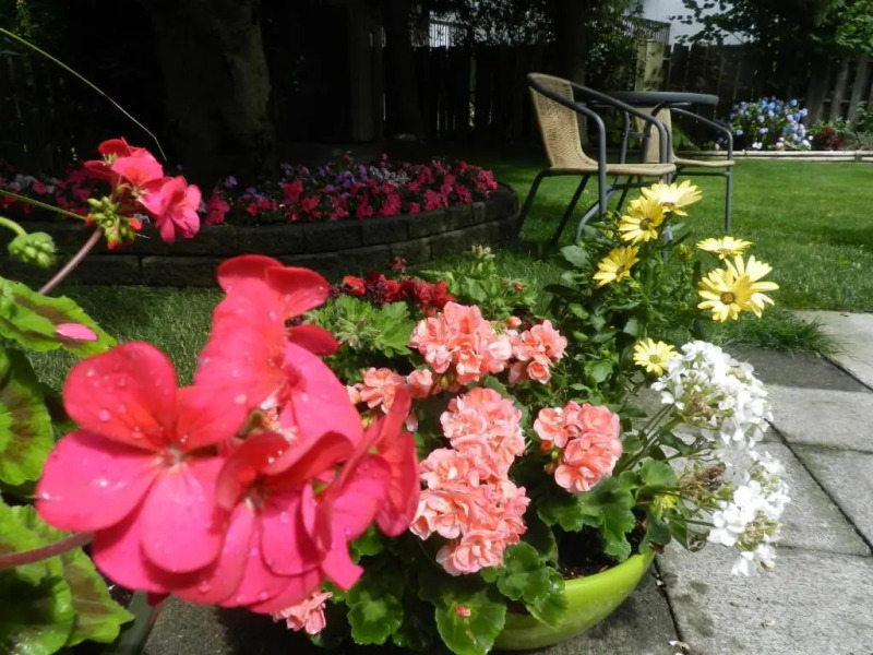 Serenity Bed and Breakfast