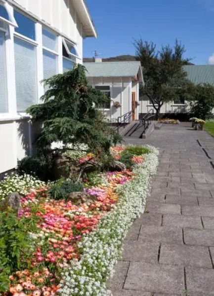 Nlfi Spa And Medical Clinic