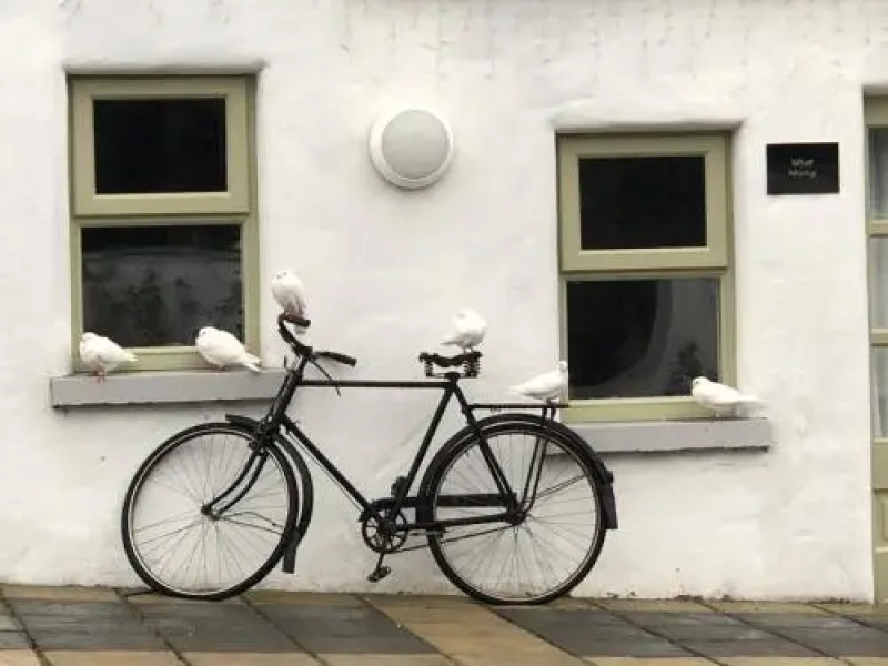 The Carriage Houses at Beechpark House
