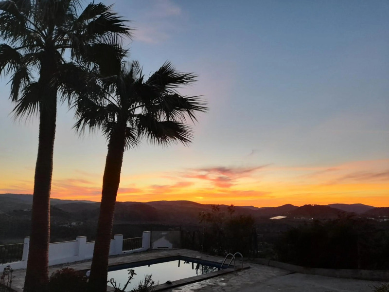 Las Palmeras - Ein Stück vom Paradies - Behagliches Haus mit Pool