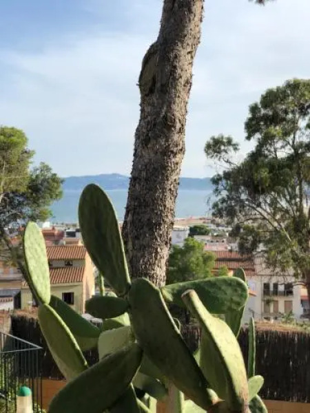 Apartamento Islas Medas