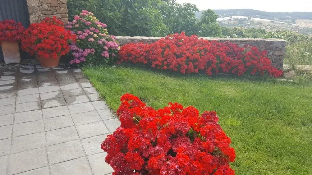 Casa Rural Sierra de Aguafría. Finca El Robledillo