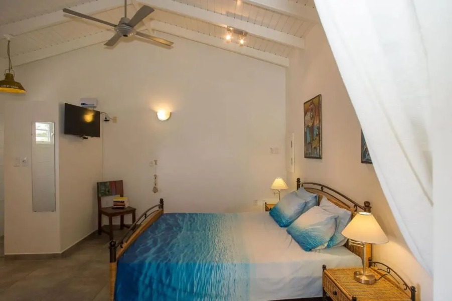 Kas Dolphin Sabal palm Bonaire
