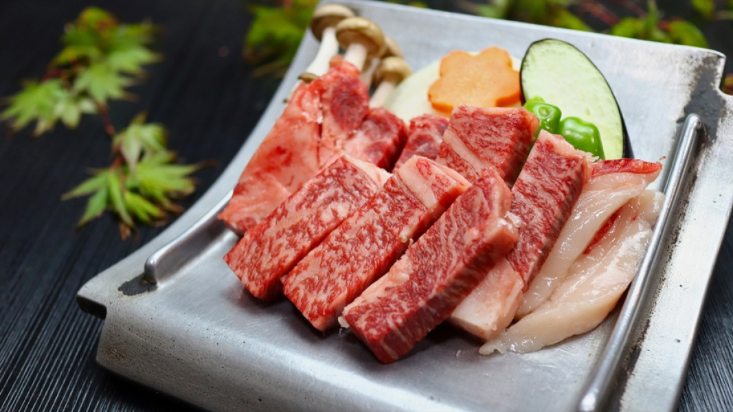 Sujiyu Onsen Kujyu Iyashi no Sato Hotel Dai Kogen