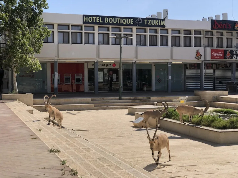 Boutique Hotel by Tzukim