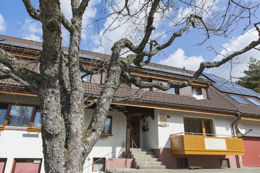 Kuckucksnester Menzenschwand (Vorderdorf)