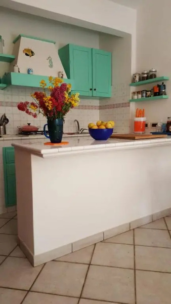 Cotone bilocale 2019