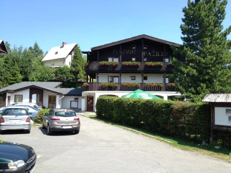 Отель Penzion Pazicky