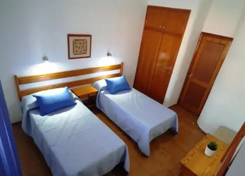 Palmeral PaMi