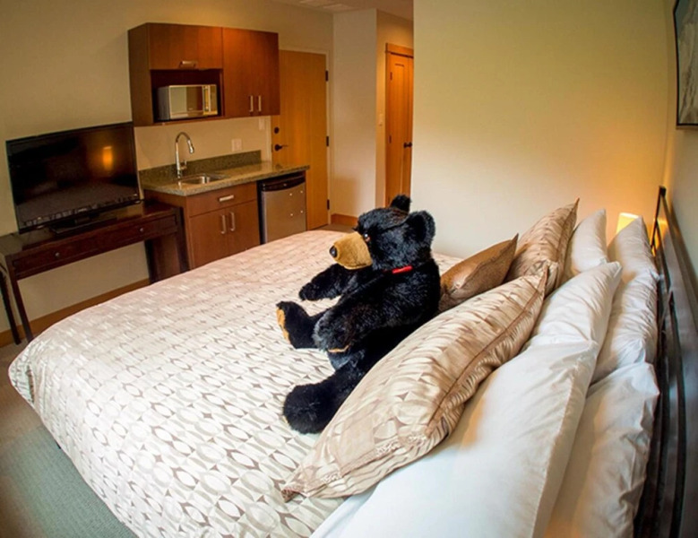 Kookaburra Lodge #302 By Bear Country