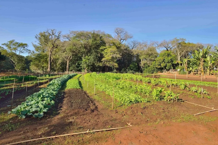 Santa Clara Eco Resort