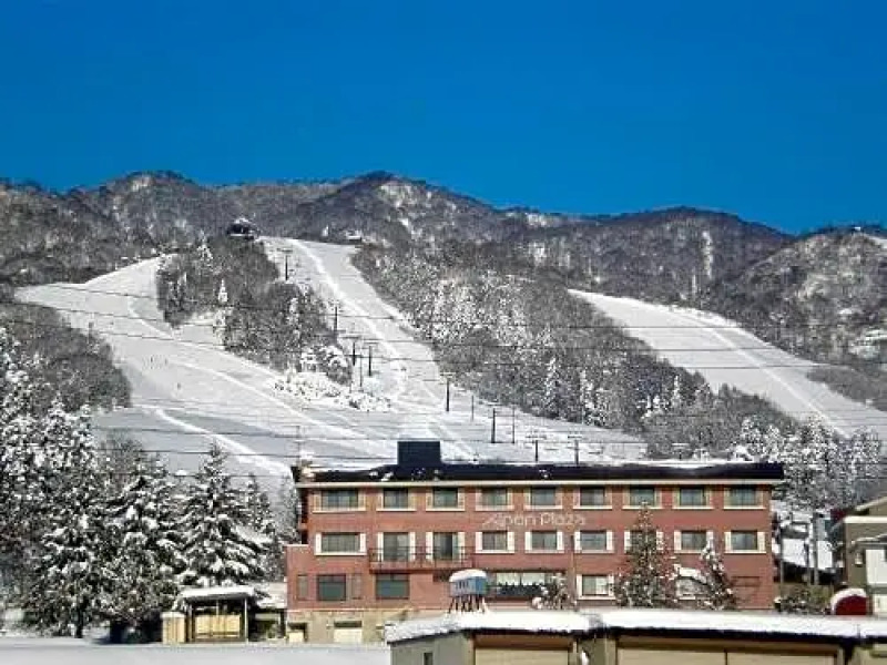 Togari Onsen Alpine Plaza - Vacation STAY 02780v