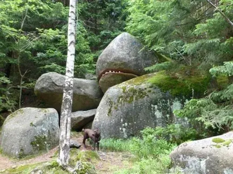 Apartment Riemenschneider