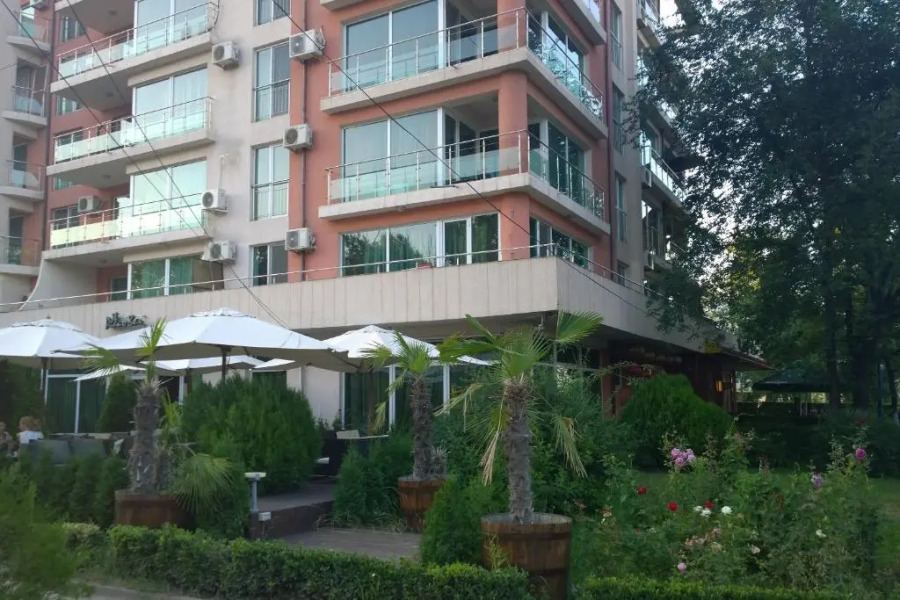 Evergreen Vlas Mamaia