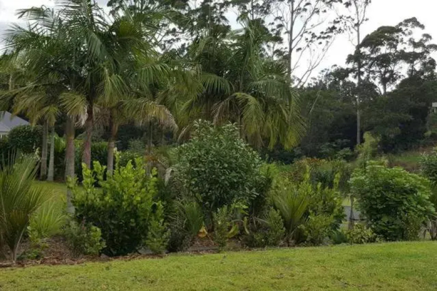 Kerikeri Blue Chair B&B