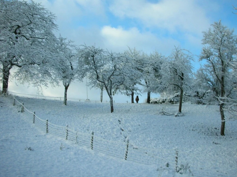 Tout Petit Gîte Laval