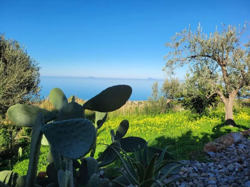 Appartamento Origano