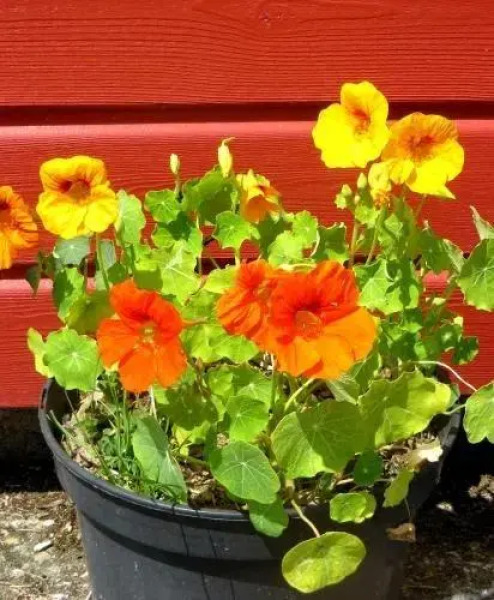 Chambres d'hôtes Ty Ruz