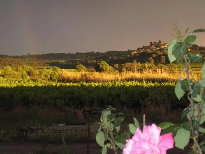 Petite Suite Douillette