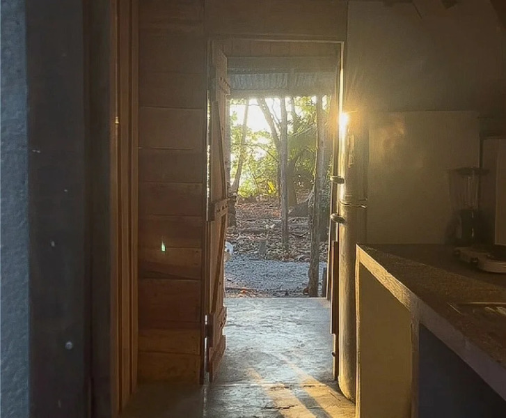 Surrounded By Trees In Front Of The Sea