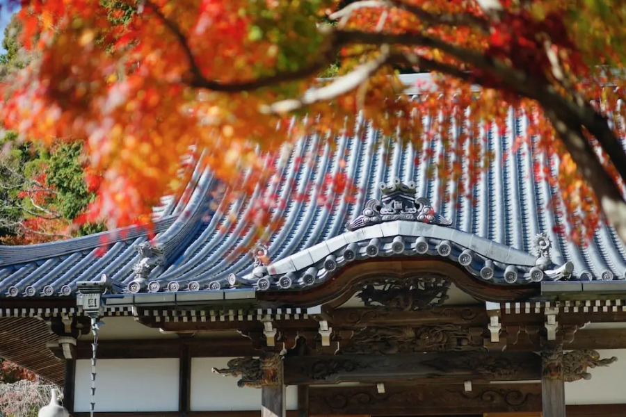 Temple Hotel Habanobo