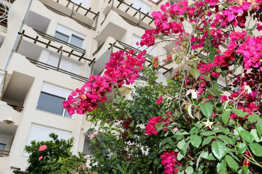 Bellavista Apartments