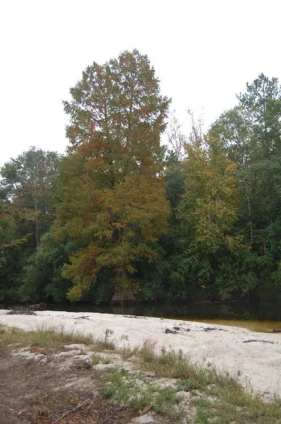 Tux Creek Inn