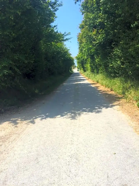 le loup dans la bergerie