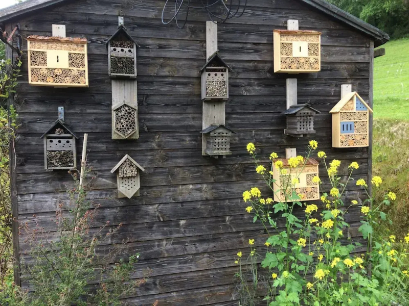 Acorn Farm B&B