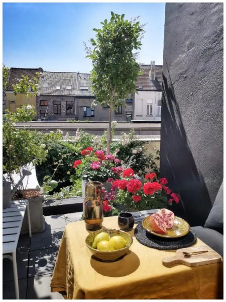 Studio Spiegelhof (Adults Only)