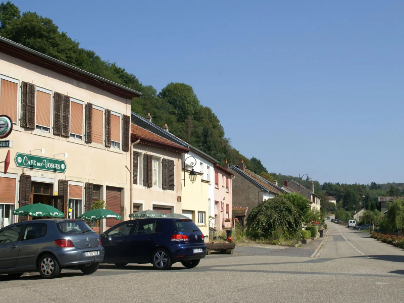 Modern and luxurious design home at the edge of a forest and a stream