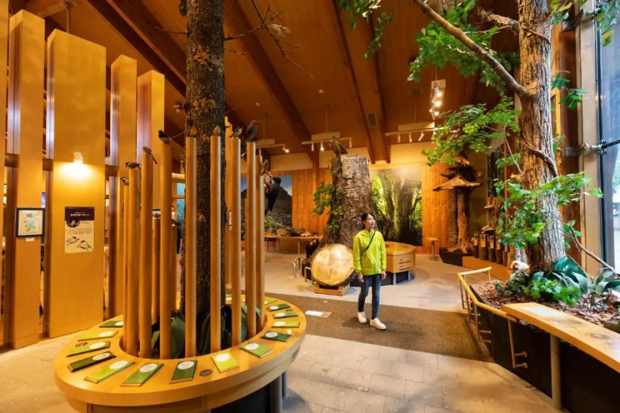 Kyukamura Shikotsuko