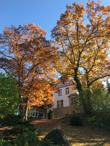 Waldhotel Bad Münstereifel