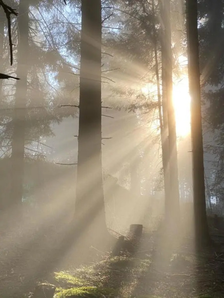 Exklusive Ferienwohnung / STAINZ / Luxury holiday Apartment