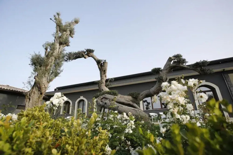 Guest House Terra di Venera