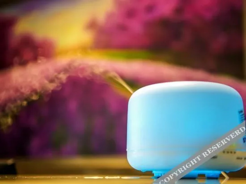 Lavande Hotel (Seda Jinma Avenue)