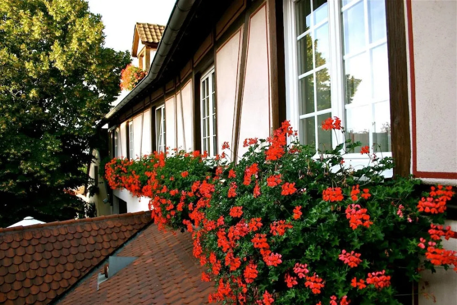 Hôtel Restaurant Groff Aux Deux Clefs