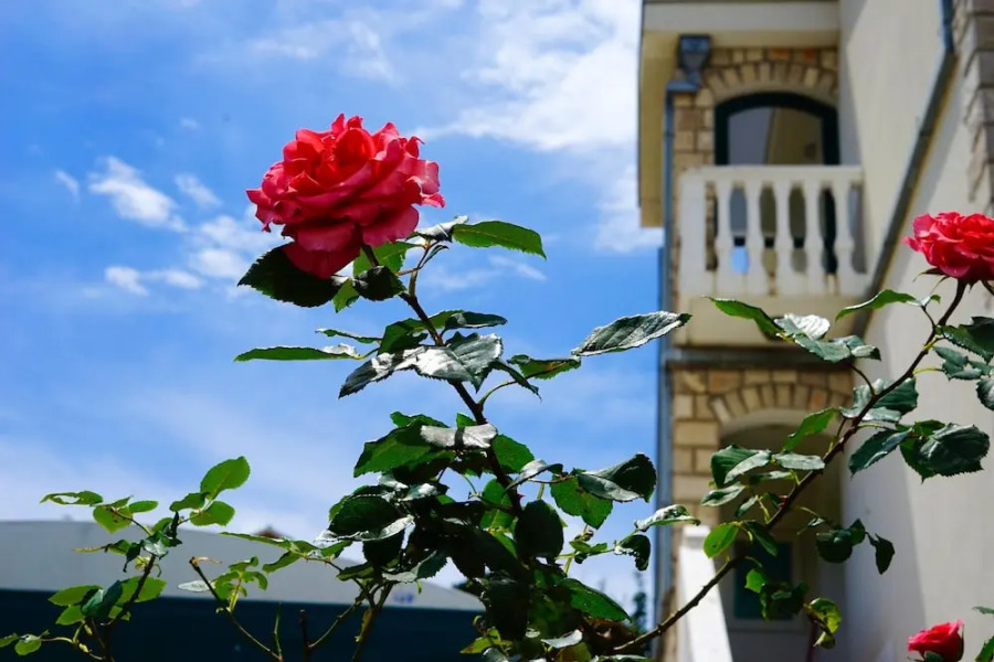 Apartment With 2 Bedrooms in Tivat, With Wonderful Mountain View, Furn