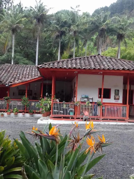 Hostal Rio Arabia - Valle De Cocora