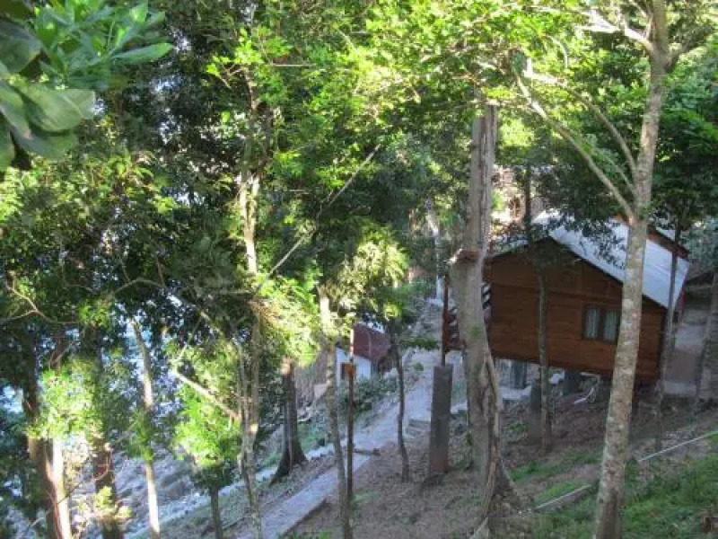 Treetop Guesthouse and Bungalows