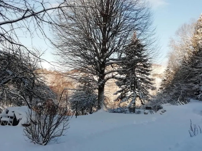 La mansarde aux digitales