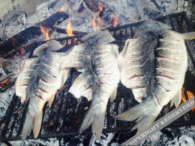 Mount abrodin Guesthouse