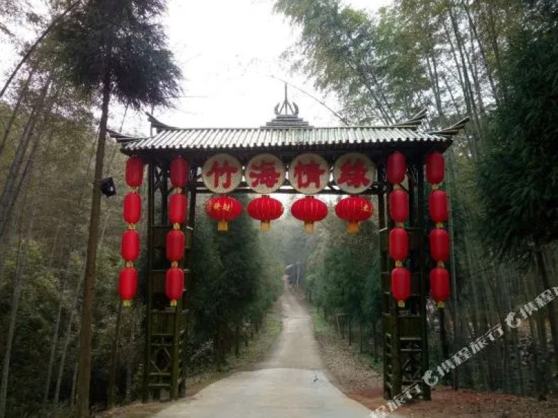 Southern Sichuan Bamboo Sea Qingyuan Homestay