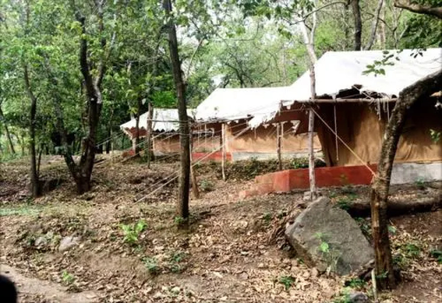 Camp Leopard Heights